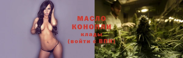 молекула духа Верхний Тагил