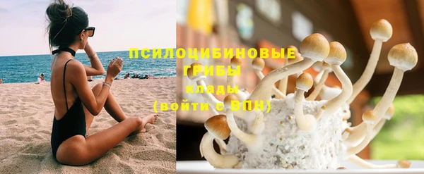 молекула духа Верхний Тагил